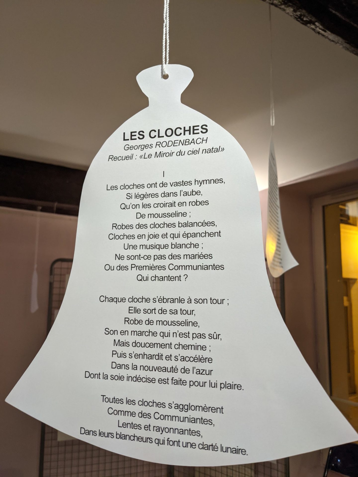 expo cloche