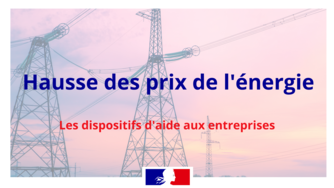 Les-dispositifs-d-aide-aux-entreprises_large